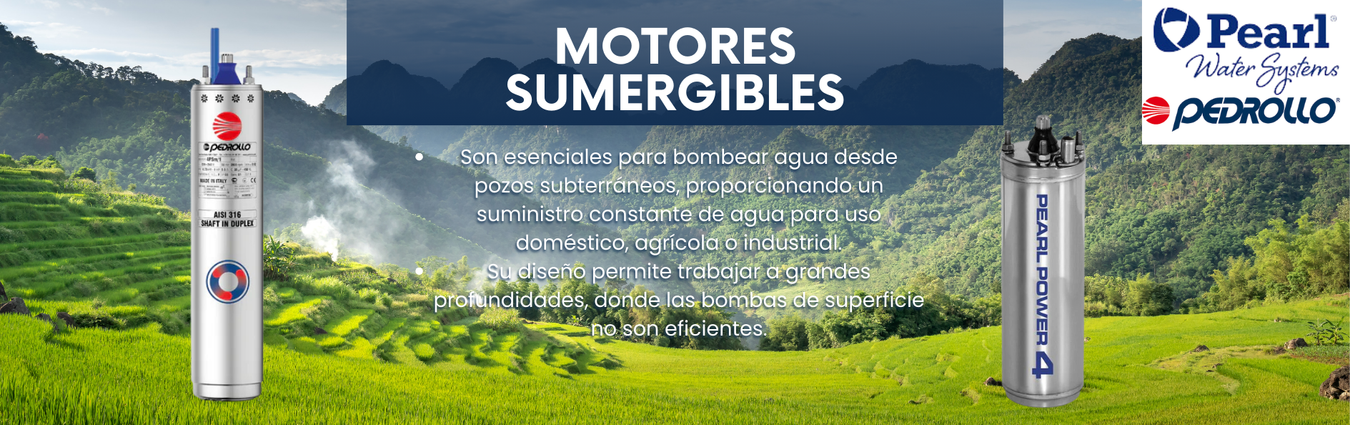 Motores Sumergibles