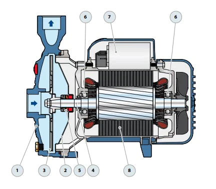 Bomba de Agua Centrifuga Serie CP de 5.5 a 25 Hp, Pedrollo