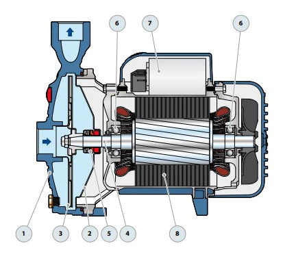 Bomba de Agua Centrifuga CPm de 0.85 a 5.5 Hp, Pedrollo