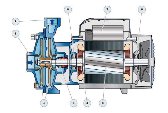 Bomba de Agua Centrifuga con Doble Impulsor 2CP de 2 a 15 Hp, Pedrollo