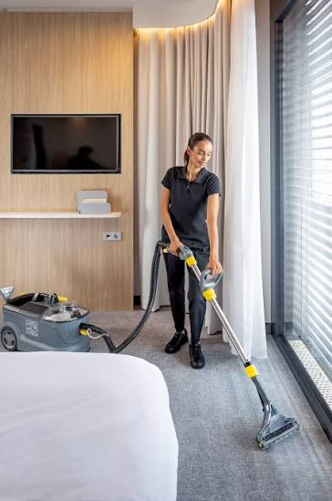 Lavatapetes y Muebles Profesional Modelo Puzzi 10/1, Karcher