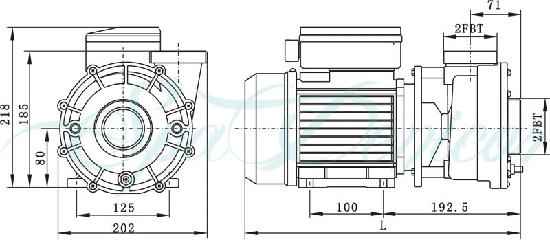 Bomba de Agua para Piscina Hidromasaje sin Trampa de 1 a 2.5 Hp, EMAUX